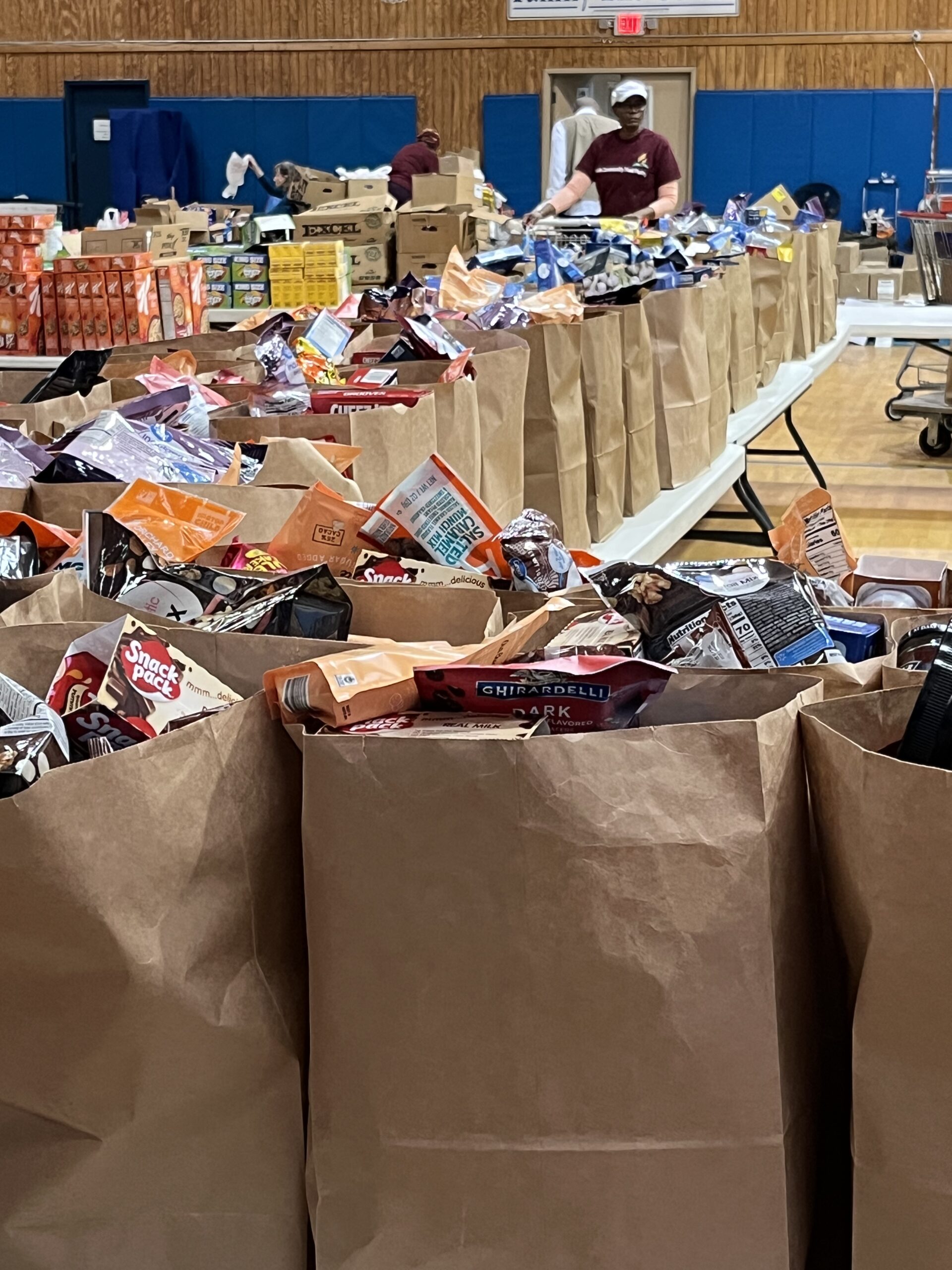 Many bags full of groceries